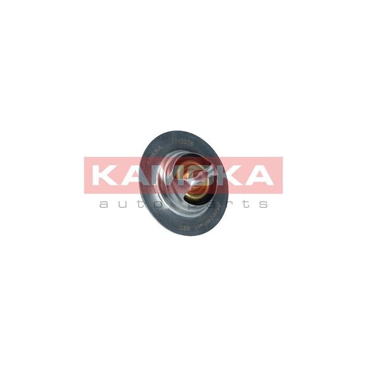 Termostatas, aušinimo skystis KAMOKA 7710076