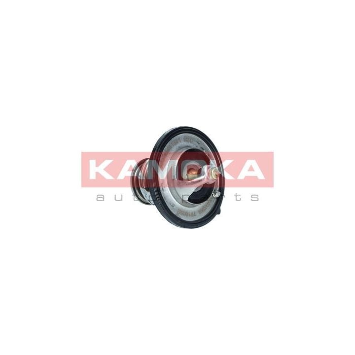 Termostatas, aušinimo skystis KAMOKA 7710098