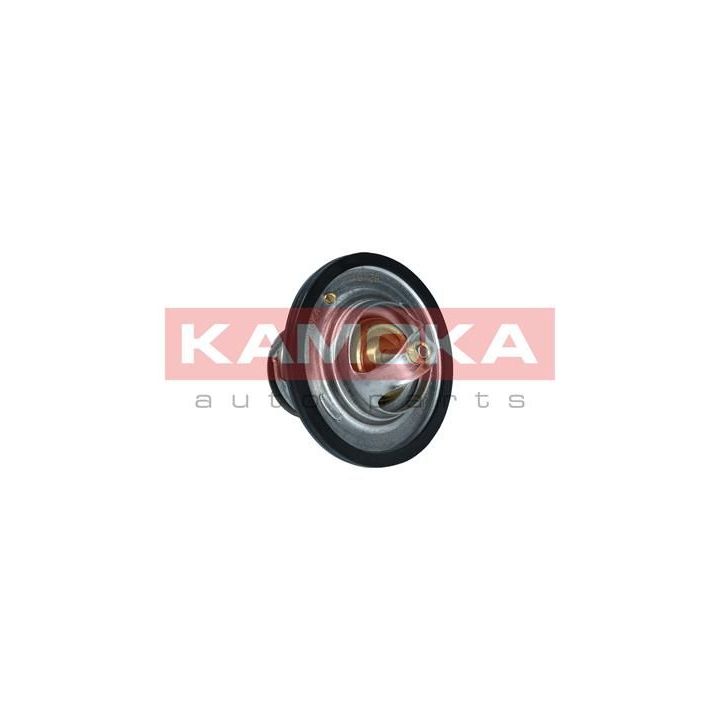 Termostatas, aušinimo skystis KAMOKA 7710129
