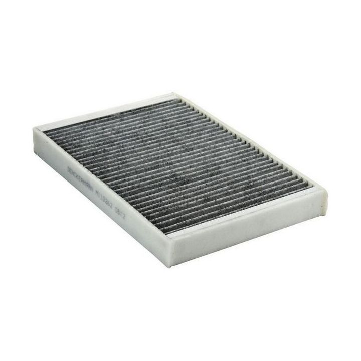 Filtras, salono oras DENCKERMANN M110262