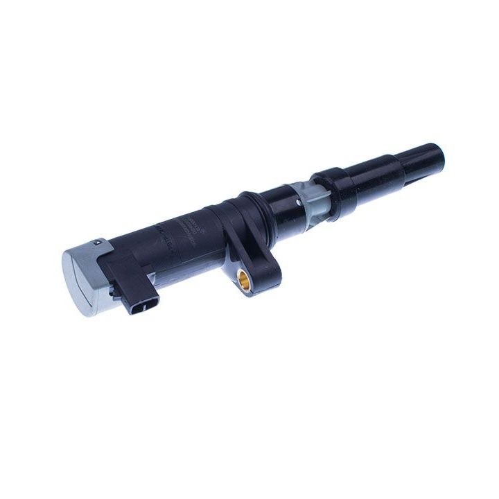 Ritė, uždegimas DENCKERMANN E100001