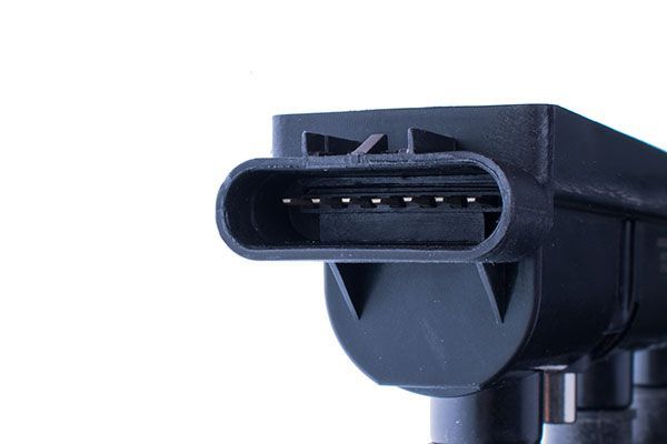 Ritė, uždegimas DENCKERMANN E100002