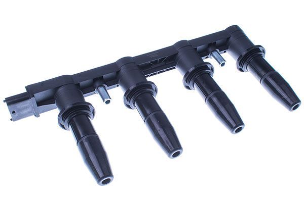 Ritė, uždegimas DENCKERMANN E100003