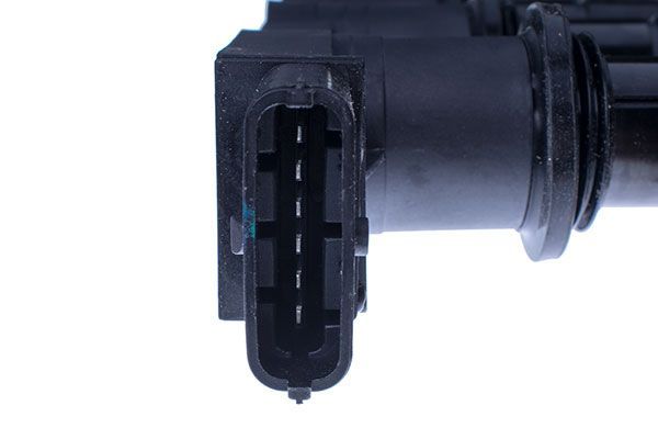 Ritė, uždegimas DENCKERMANN E100003