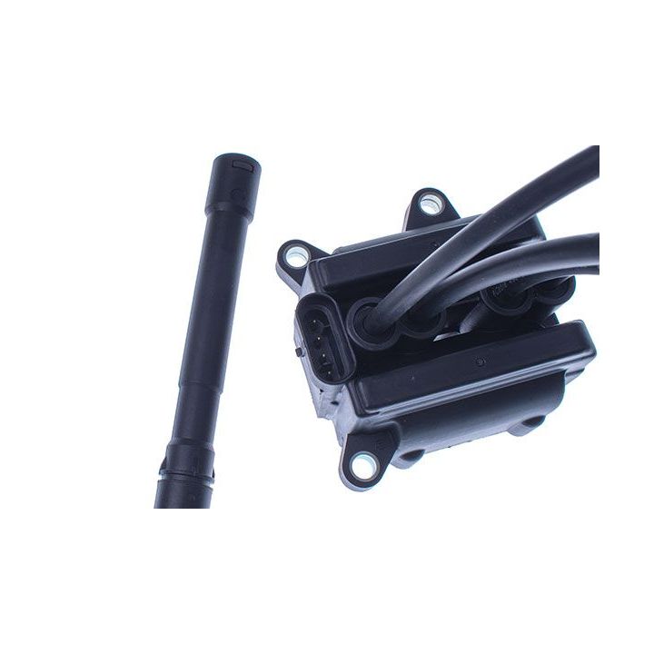 Ritė, uždegimas DENCKERMANN E100008