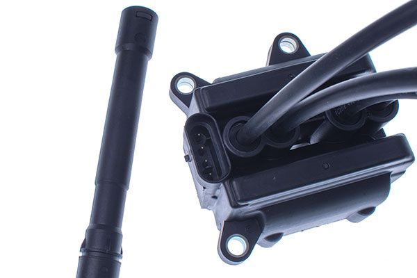 Ritė, uždegimas DENCKERMANN E100008