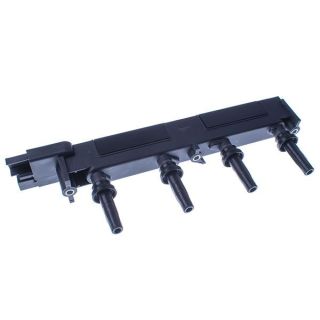 Ritė, uždegimas DENCKERMANN E100011