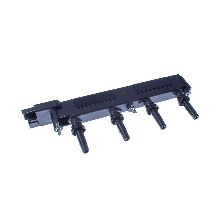 Ritė, uždegimas DENCKERMANN E100011