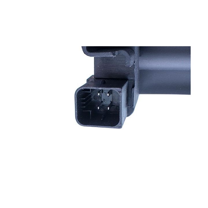 Ritė, uždegimas DENCKERMANN E100011