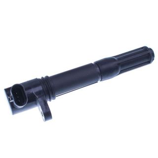 Ritė, uždegimas DENCKERMANN E100013