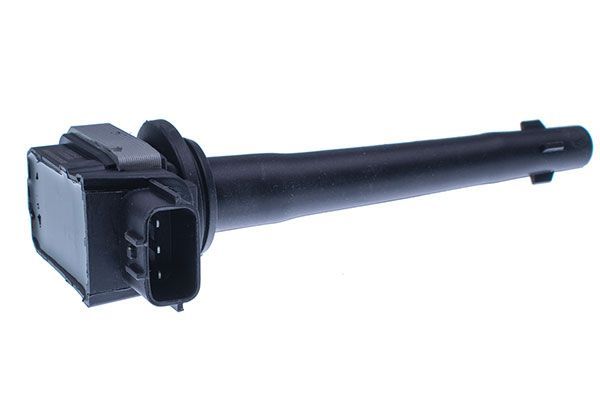 Ritė, uždegimas DENCKERMANN E100030