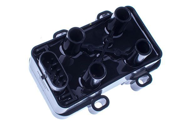 Ritė, uždegimas DENCKERMANN E100034