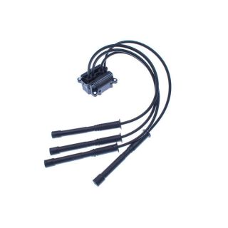 Ritė, uždegimas DENCKERMANN E100050