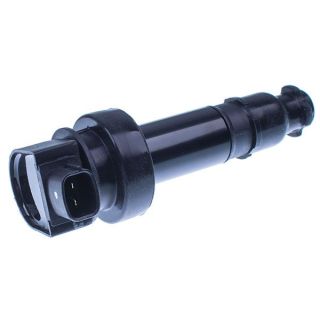 Ritė, uždegimas DENCKERMANN E100054