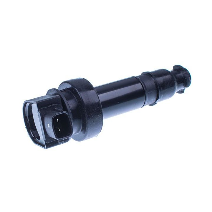 Ritė, uždegimas DENCKERMANN E100054