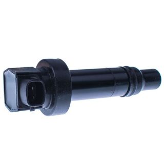 Ritė, uždegimas DENCKERMANN E100057