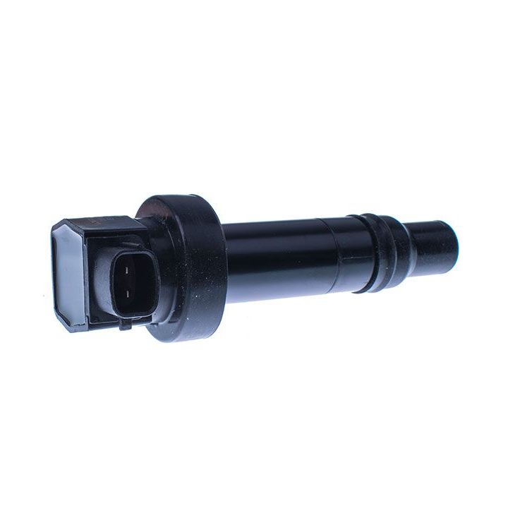 Ritė, uždegimas DENCKERMANN E100057