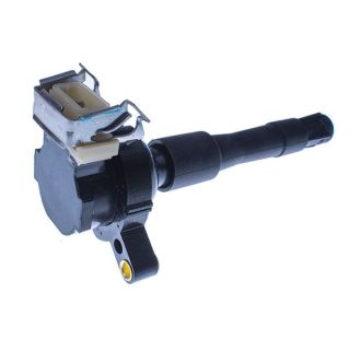 Ritė, uždegimas DENCKERMANN E100062