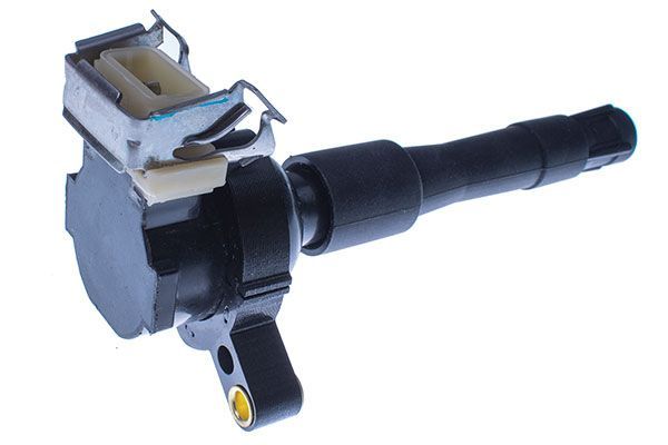 Ritė, uždegimas DENCKERMANN E100062