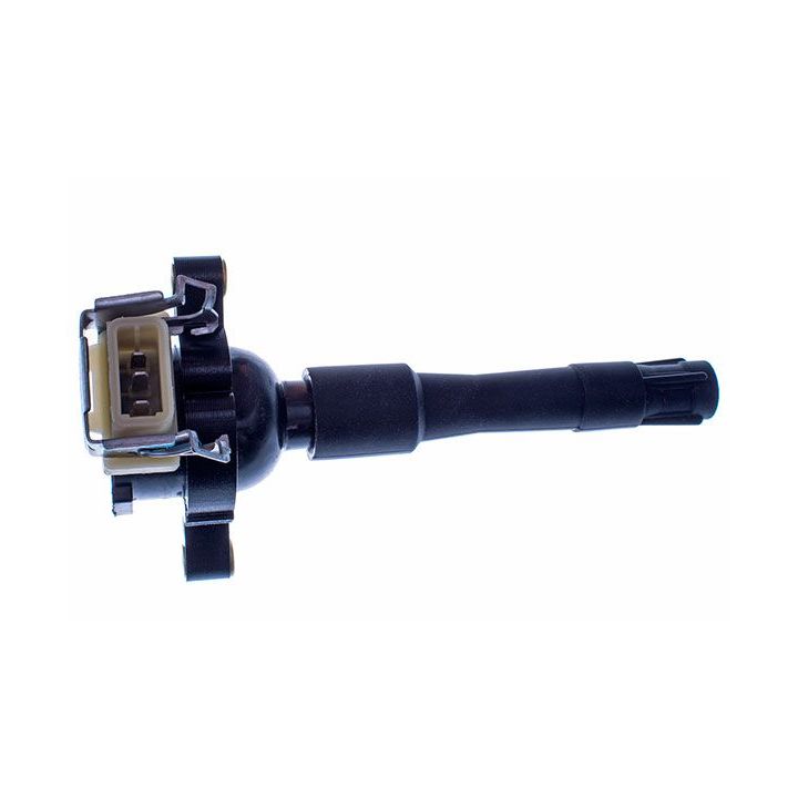 Ritė, uždegimas DENCKERMANN E100062