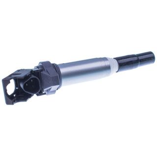 Ritė, uždegimas DENCKERMANN E100071