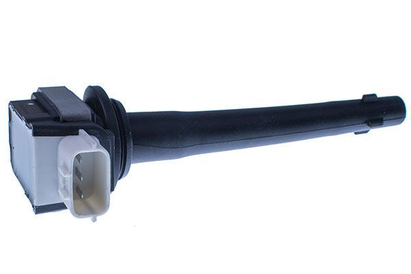 Ritė, uždegimas DENCKERMANN E100074