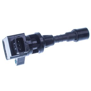 Ritė, uždegimas DENCKERMANN E100087