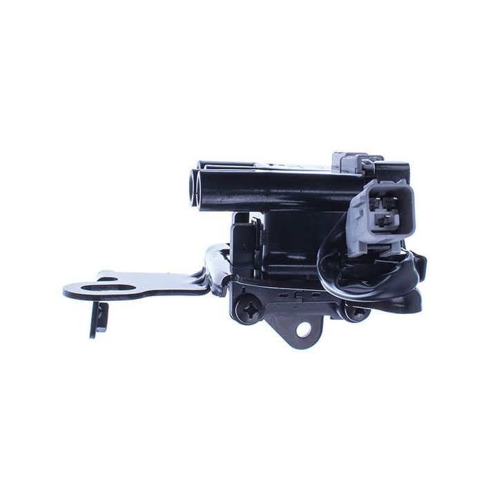 Ritė, uždegimas DENCKERMANN E100089