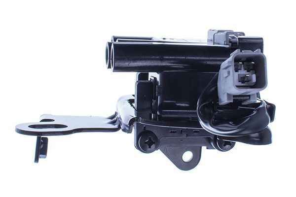 Ritė, uždegimas DENCKERMANN E100089