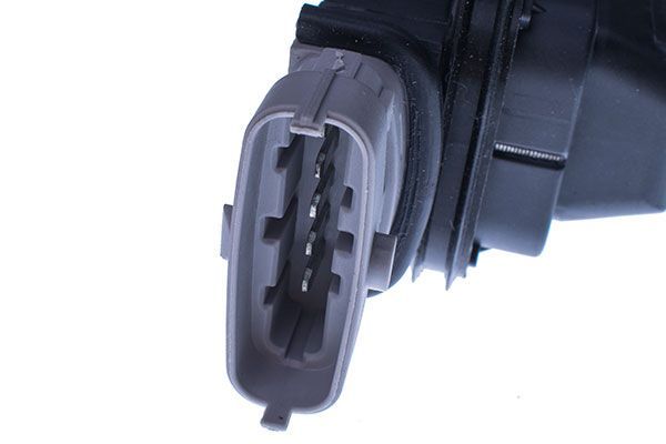 Ritė, uždegimas DENCKERMANN E100090