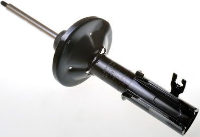 Amortizatorius DENCKERMANN DSB041G
