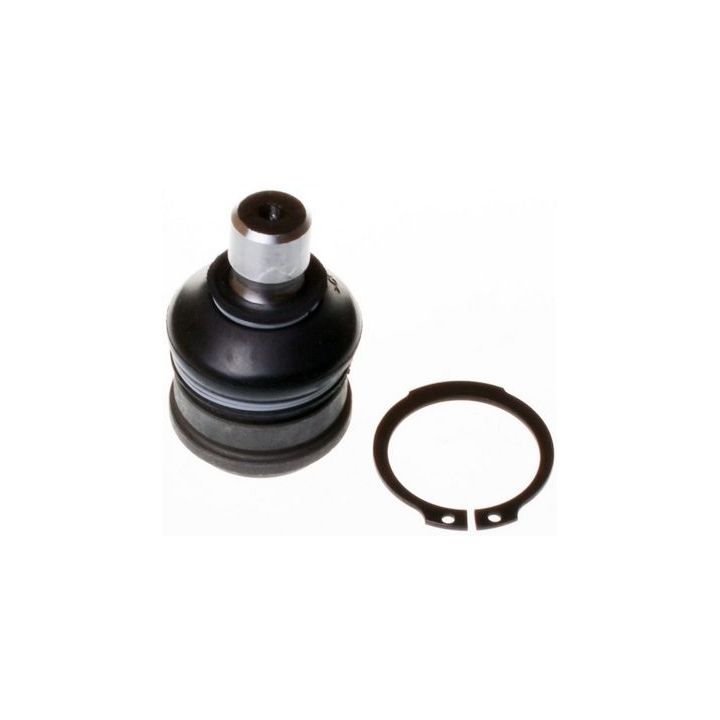 Šarnyras / girgždukas DENCKERMANN D110124