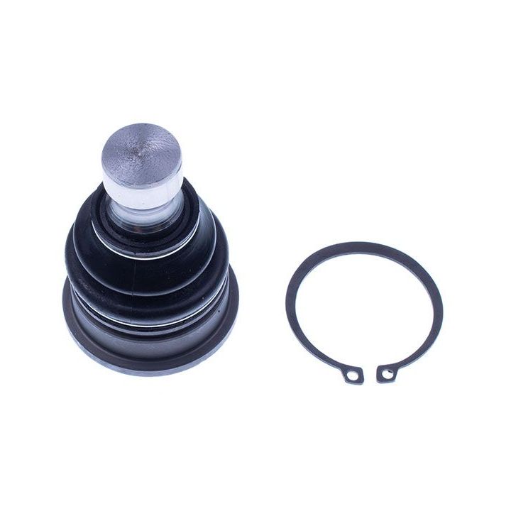 Šarnyras / girgždukas DENCKERMANN D110302