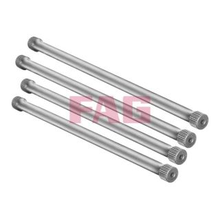 Važiuoklės komplektas, spyruoklės FAG 813 0001 30