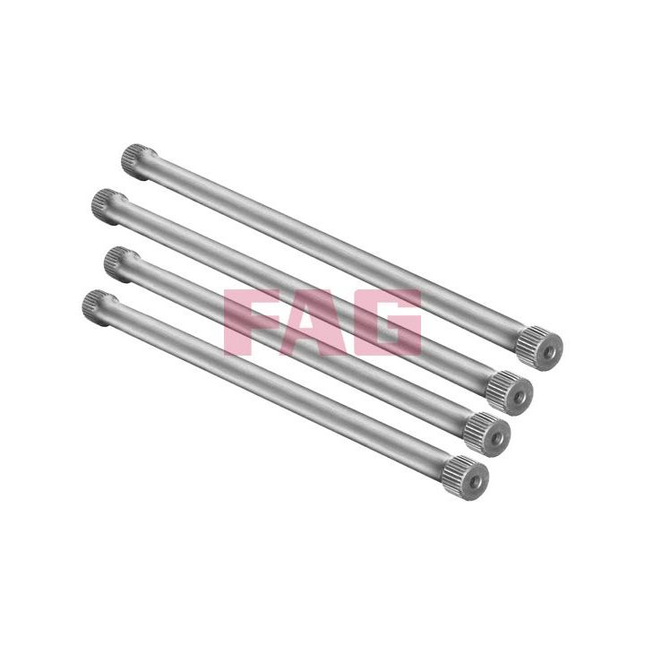 Važiuoklės komplektas, spyruoklės FAG 813 0001 30