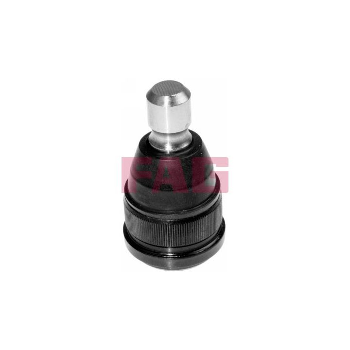 Šarnyras / girgždukas FAG 825 0024 10