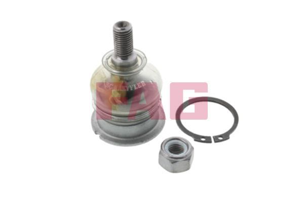 Šarnyras / girgždukas FAG 825 0038 10