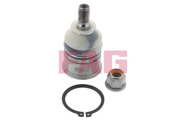 Šarnyras / girgždukas FAG 825 0043 10