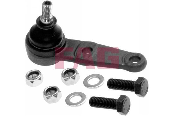 Šarnyras / girgždukas FAG 825 0072 10