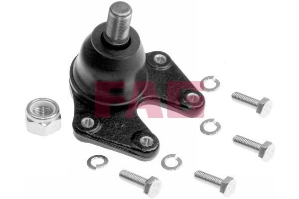 Šarnyras / girgždukas FAG 825 0098 10