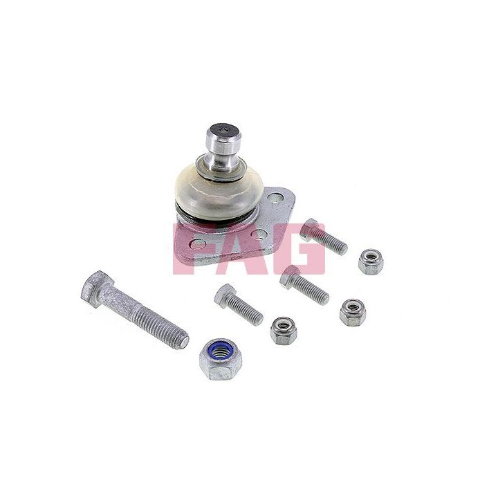 Šarnyras / girgždukas FAG 825 0137 10