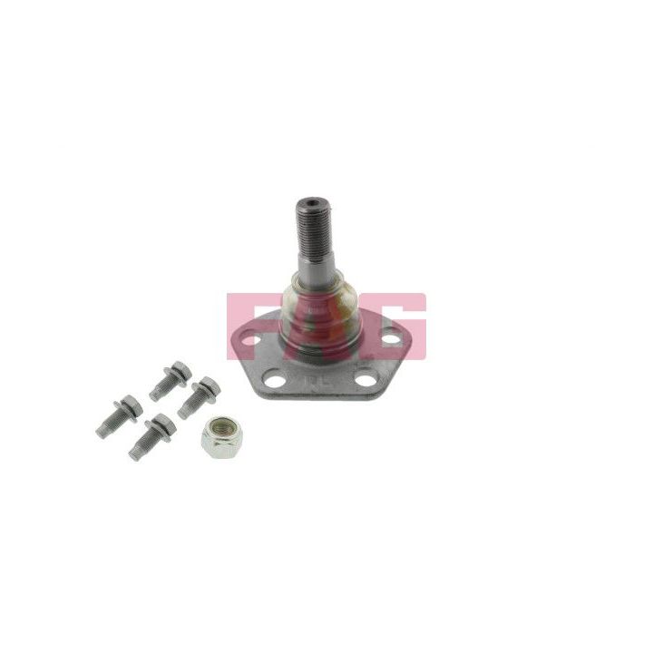 Šarnyras / girgždukas FAG 825 0191 10