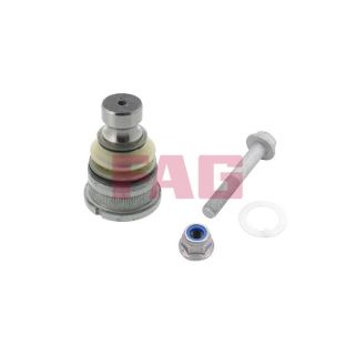 Šarnyras / girgždukas FAG 825 0300 10