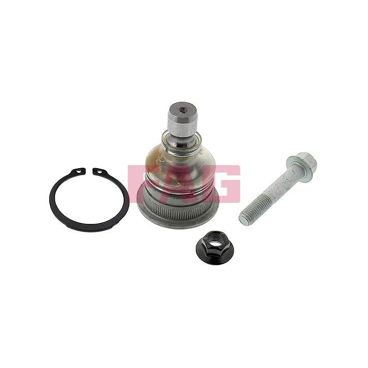 Šarnyras / girgždukas FAG 825 0309 10