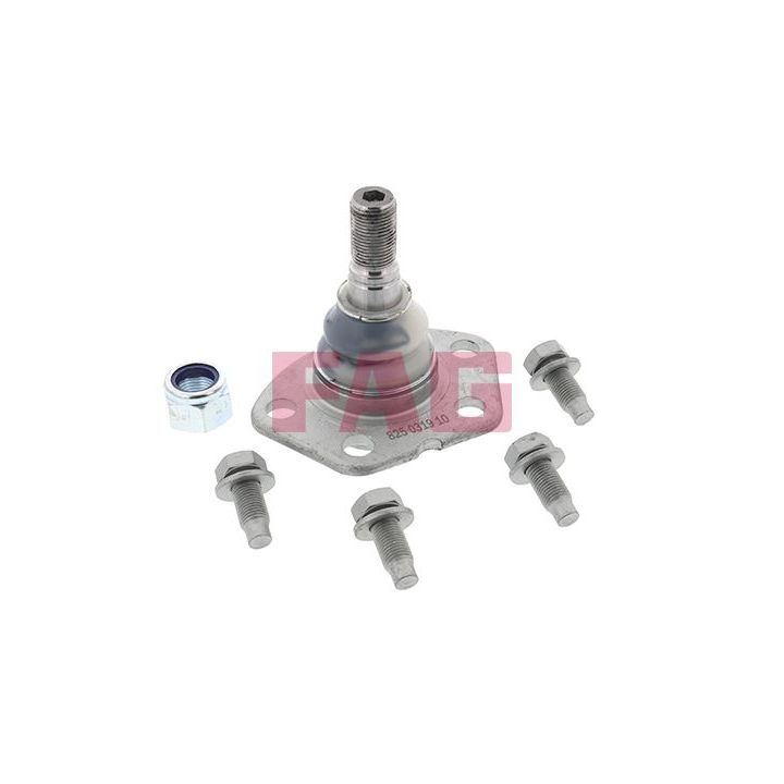 Šarnyras / girgždukas FAG 825 0319 10