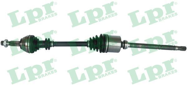 Pusašis LPR DS16062