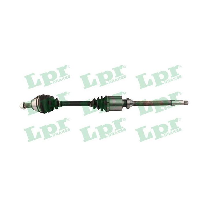 Pusašis LPR DS16081