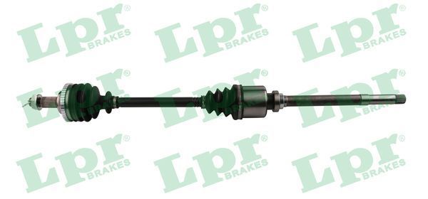 Pusašis LPR DS16093