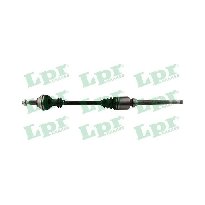 Pusašis LPR DS16097