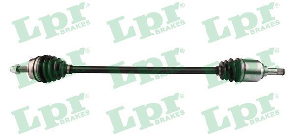 Pusašis LPR DS20063